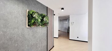 FLEX CIRILO AMORóS 51