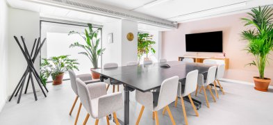 FLEX JOSE ABASCAL 41