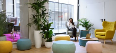 FLEX THE VALLEY - TORREGALINDO 1