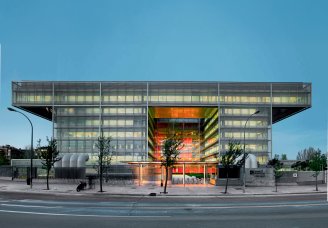 Abelias, 1 1 Abelias, 1 1