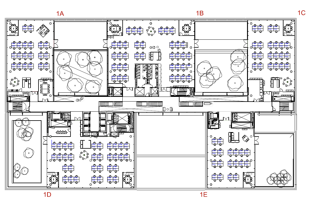 Abelias, 1 12 Abelias, 1 12
