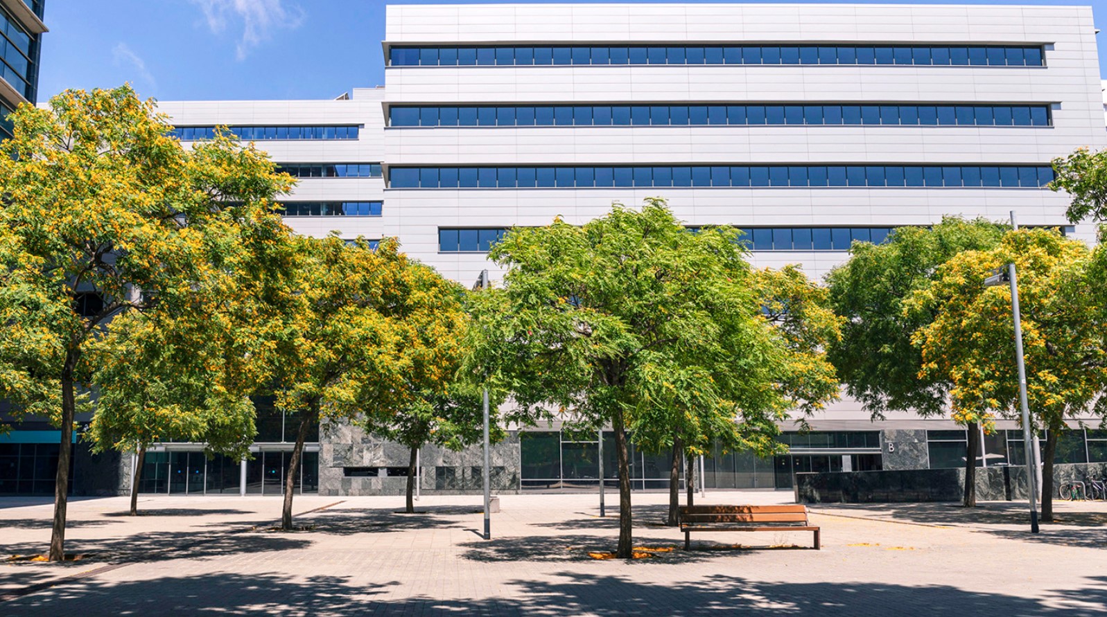 Atrium 22@ - edificio b business park 3 Atrium 22@ - edificio b business park 3