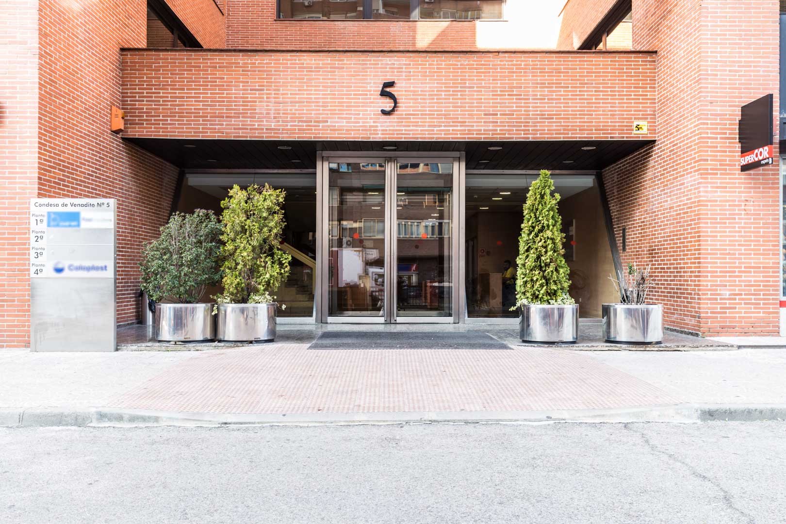 Condesa de venadito, 5-5a 3