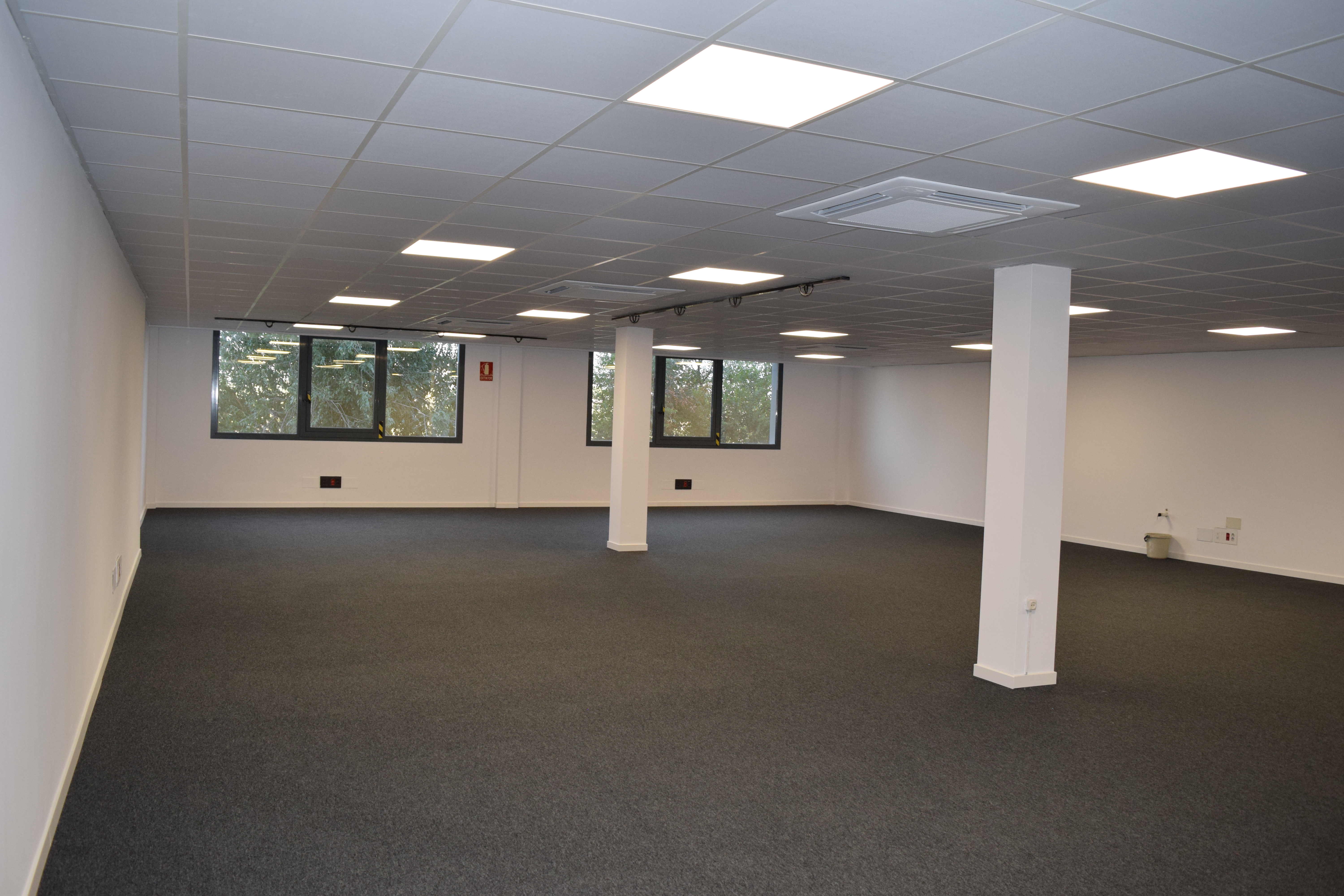 Edificio son rossinyol-gremi cirurgians i barbers 48 8