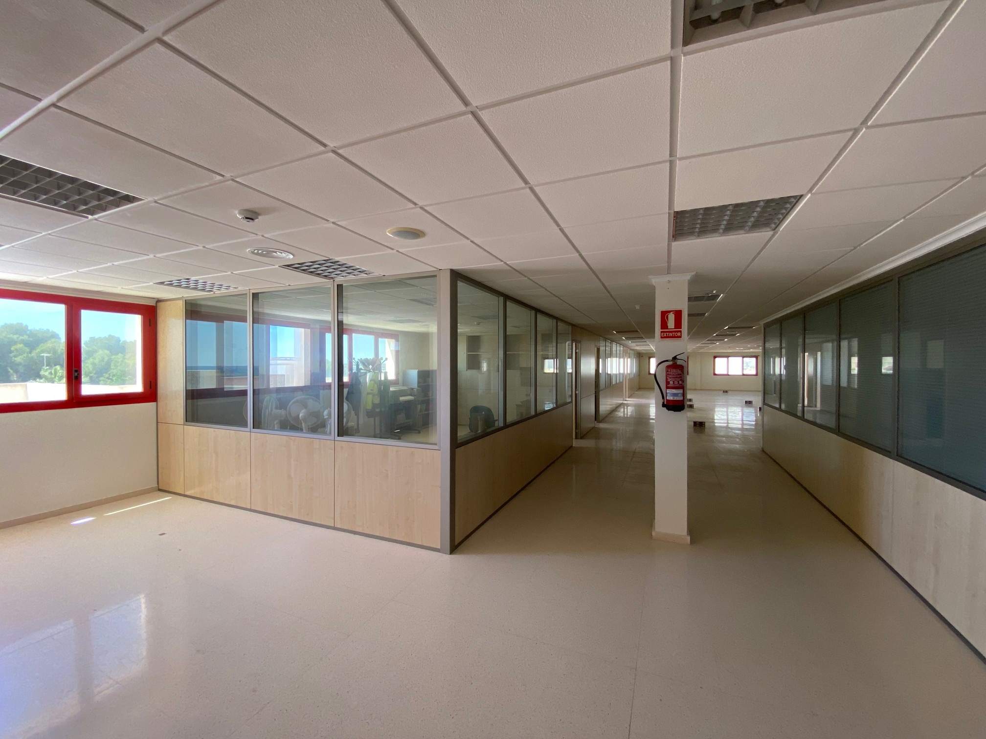 Elche 164 3 Elche 164 3