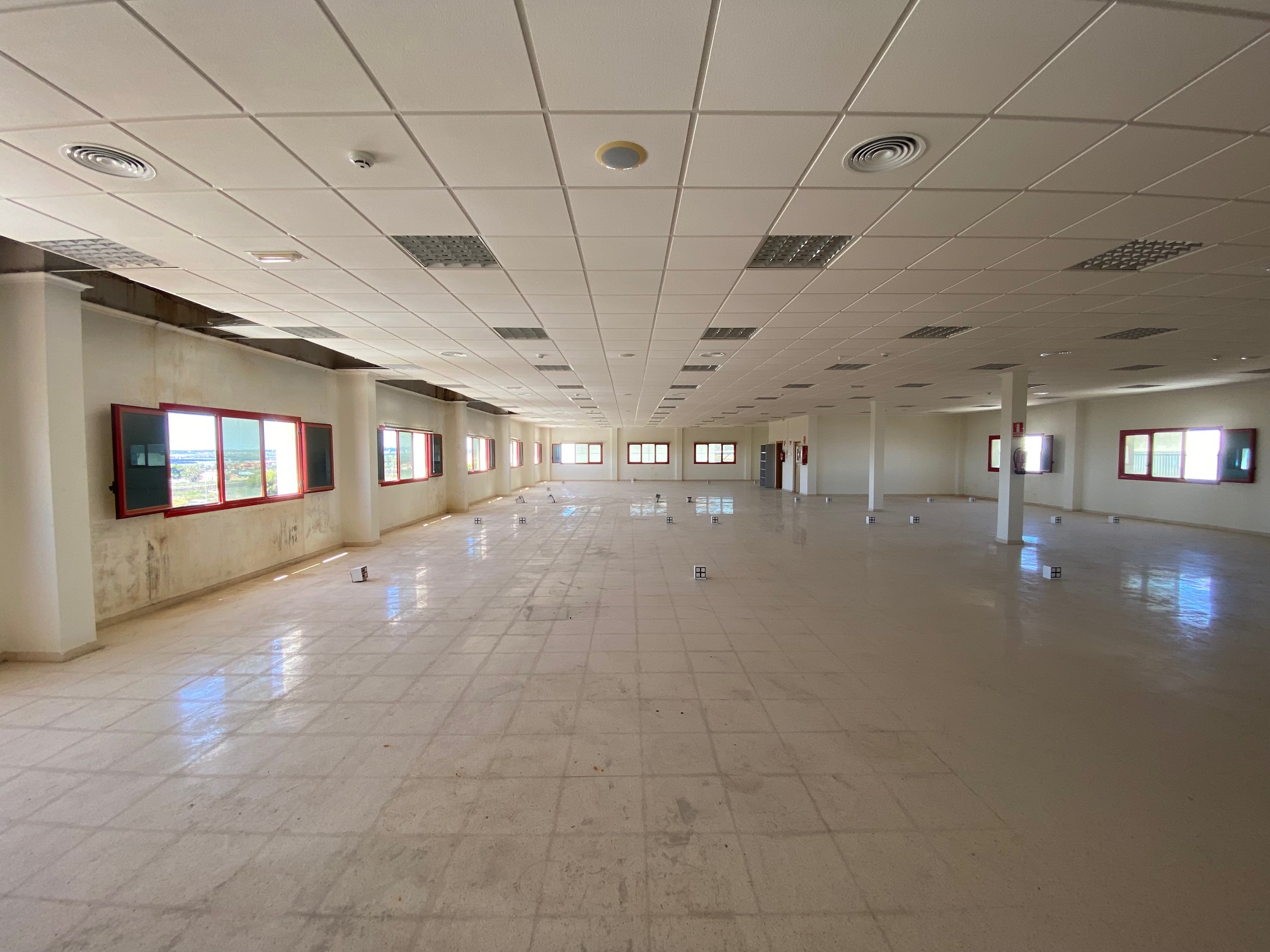 Elche 164 6 Elche 164 6