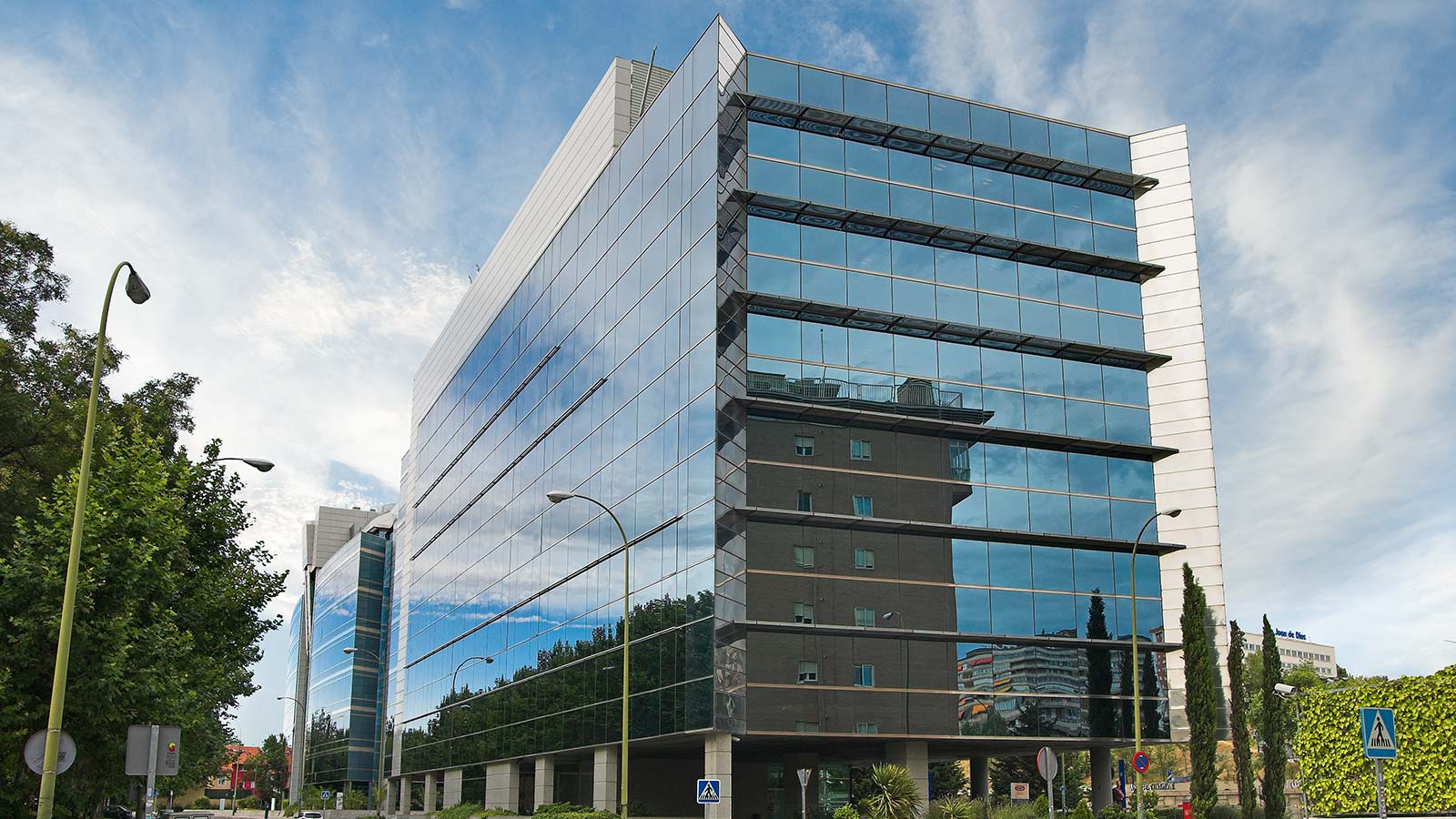 Eucalipto, 25 3 Eucalipto, 25 3