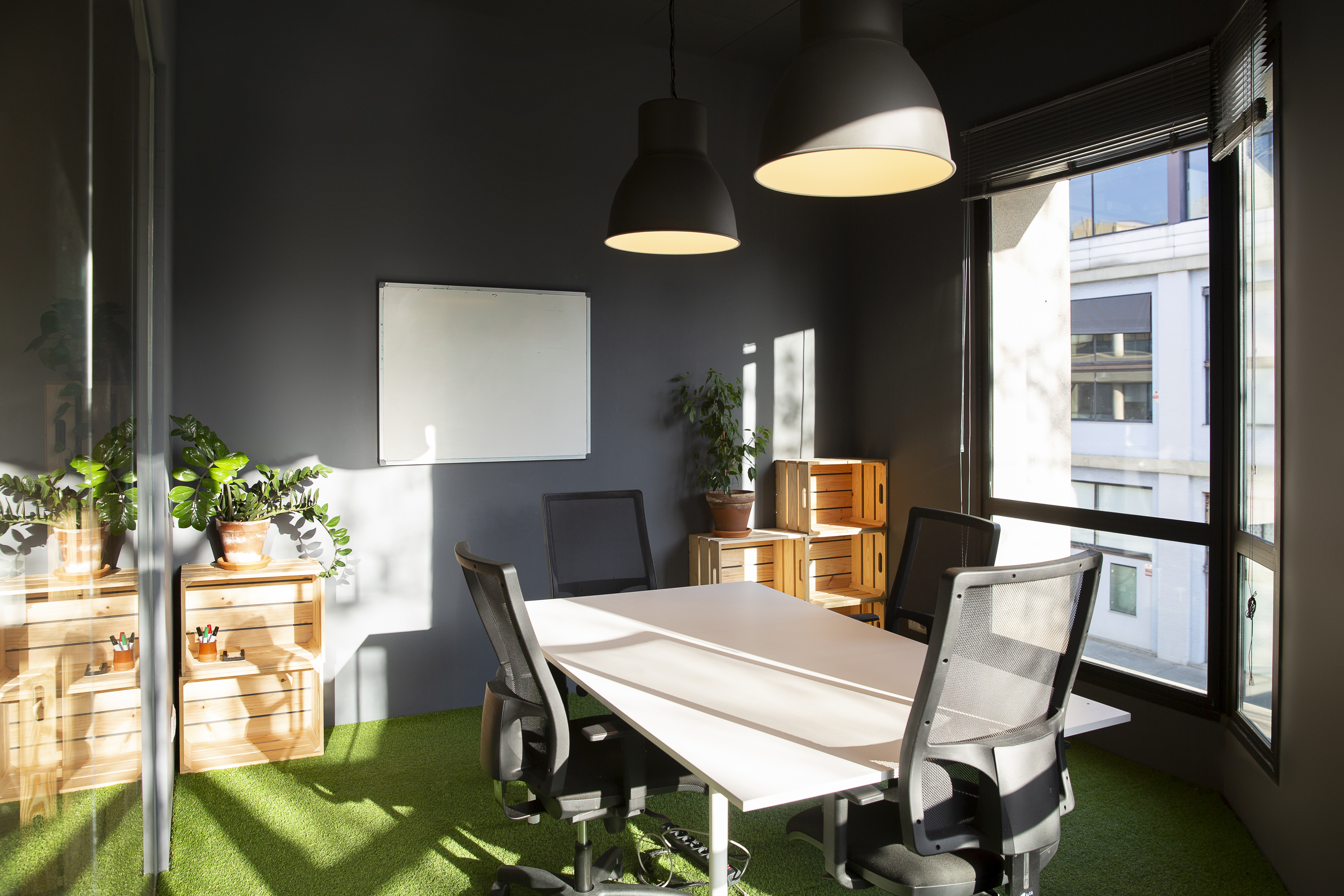 Flex 22@ - trueta 113 5