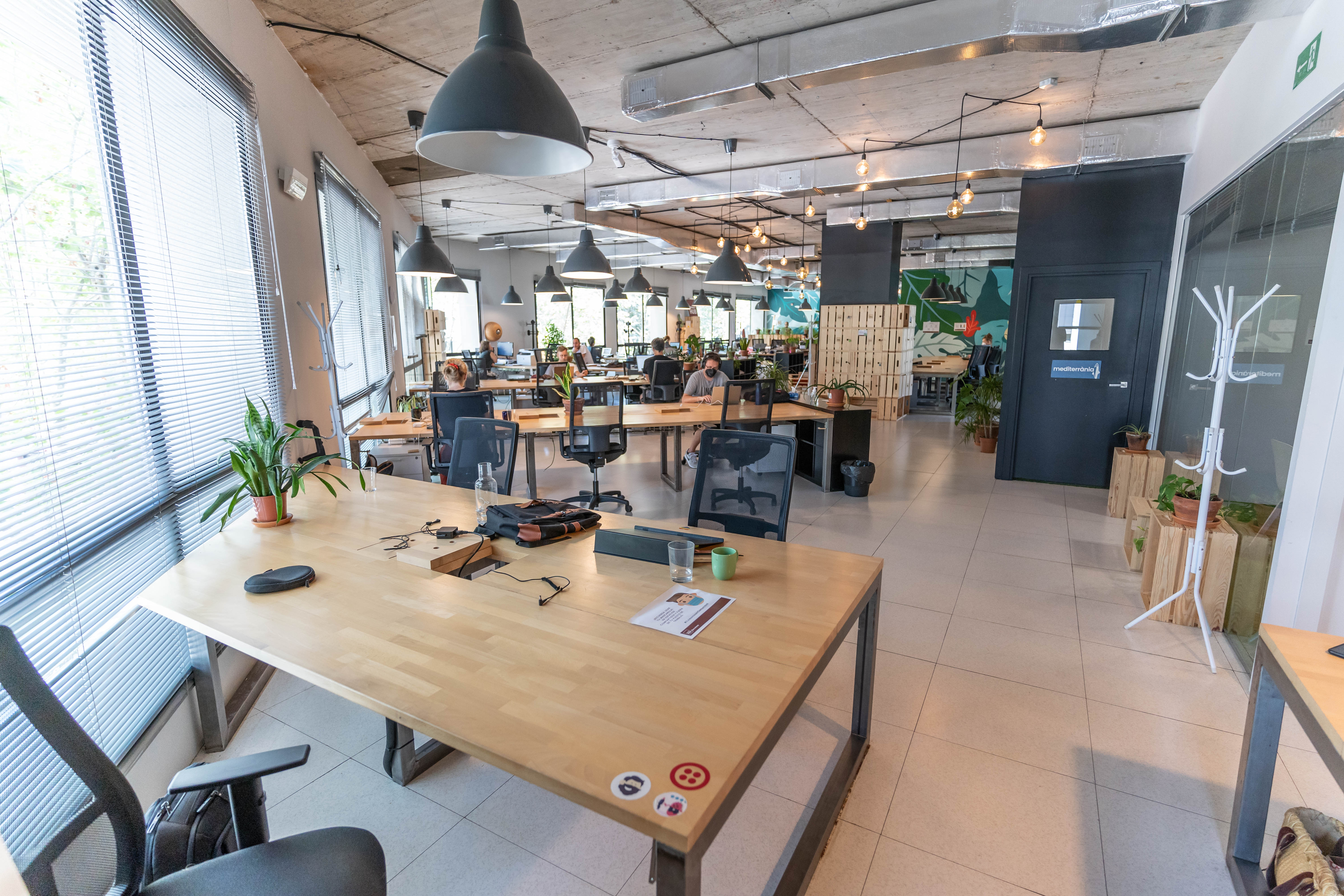 Flex 22@ - trueta 113 7