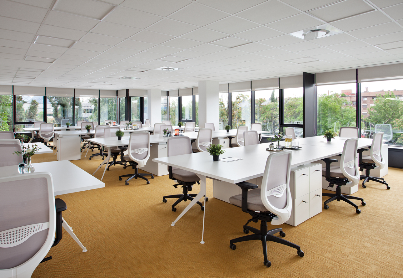 Flex ática - avenida de europa 19 4