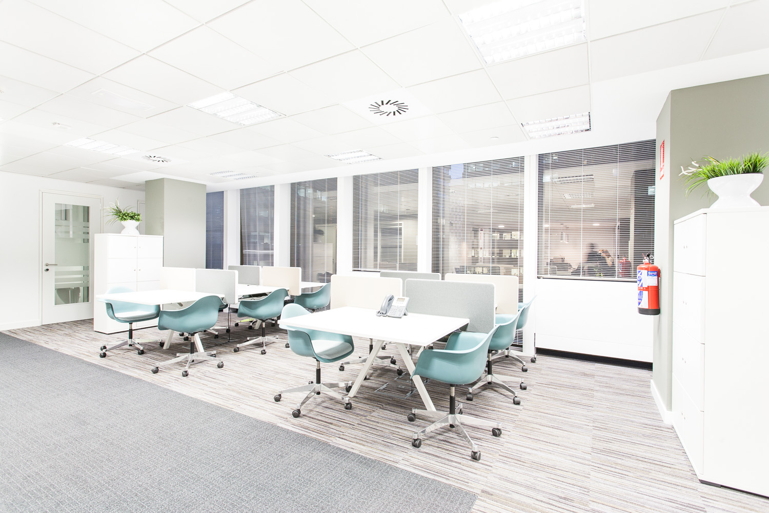 Flex castellana 141 3