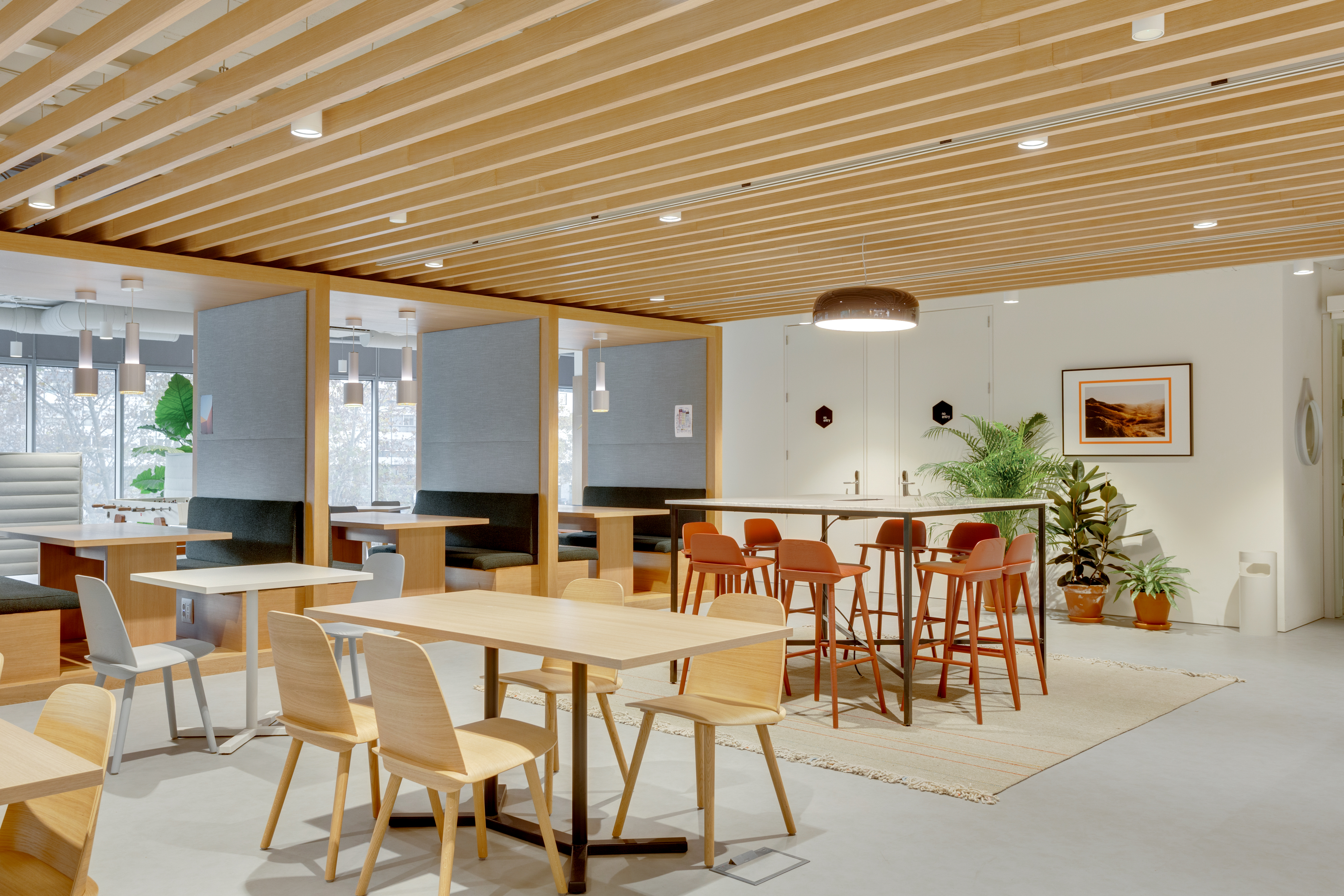 Flex castellana -200 7 Flex castellana -200 7