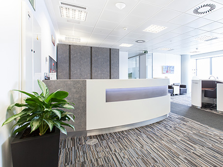 Flex castellana 259 5 Flex castellana 259 5