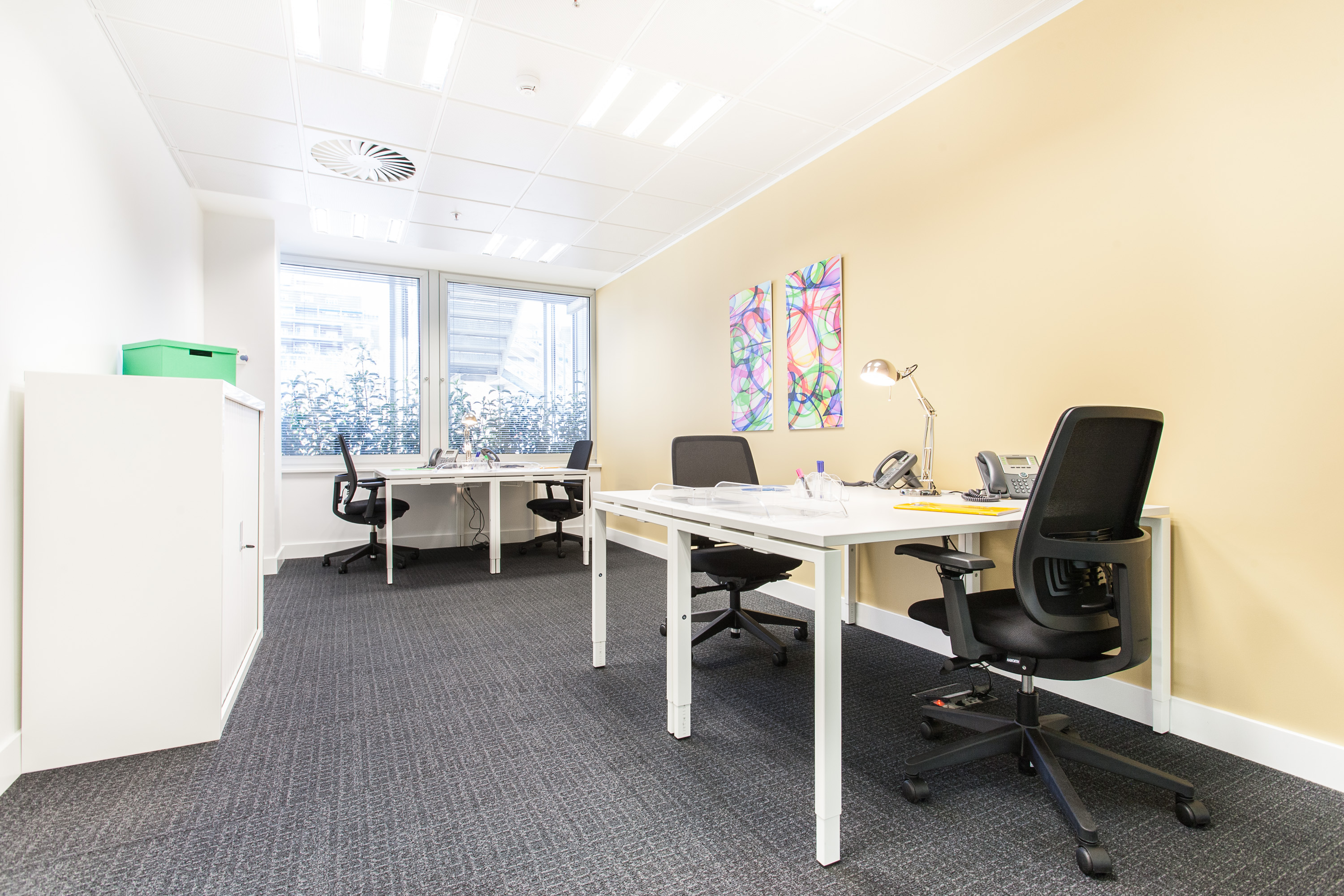 Flex castellana 93 5