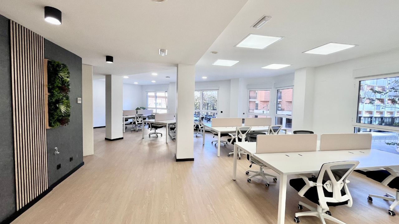 Flex cirilo amorós 51 3