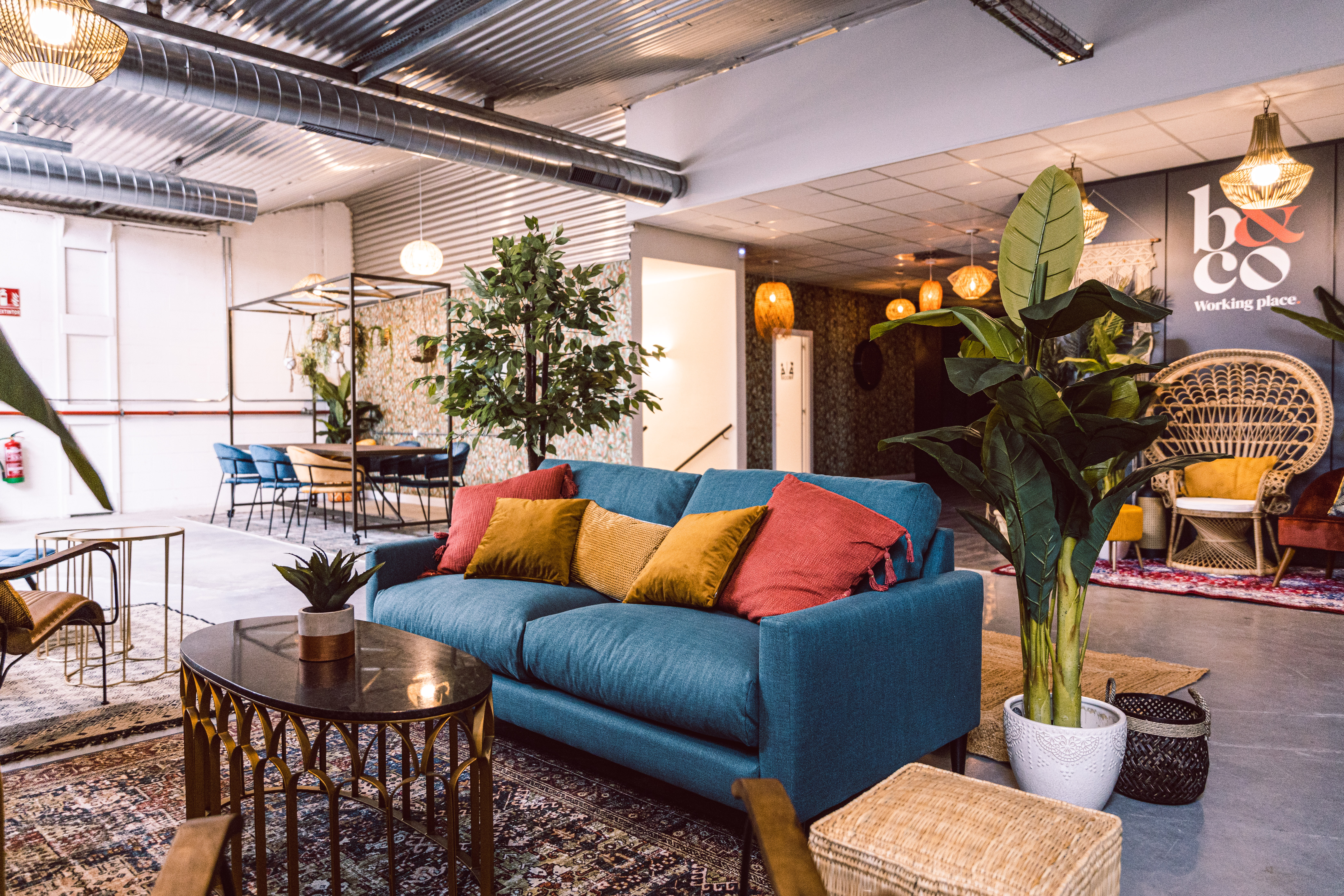 Flex girona - santa coloma 99 9