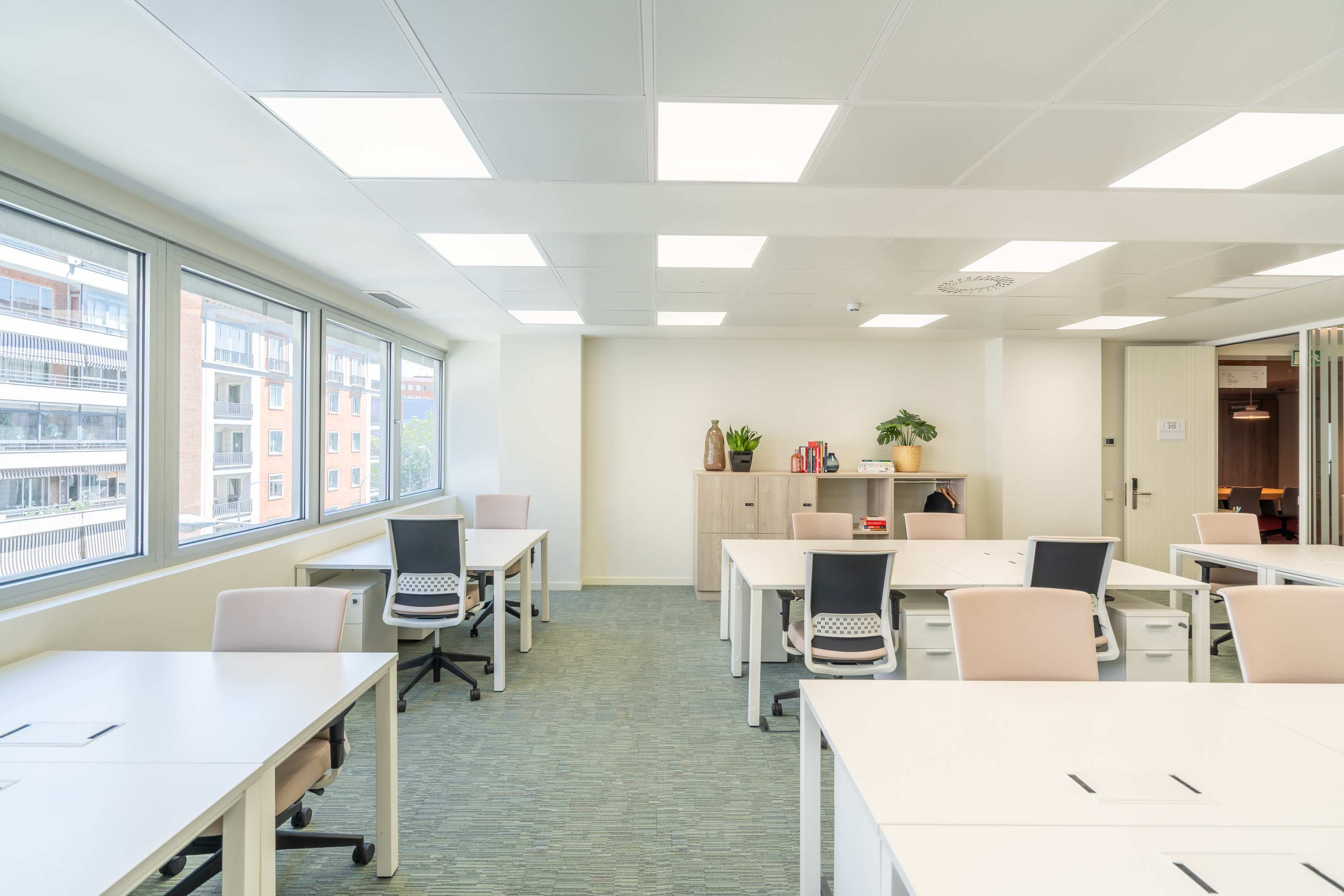 Flex jose abascal 56 5 Flex jose abascal 56 5