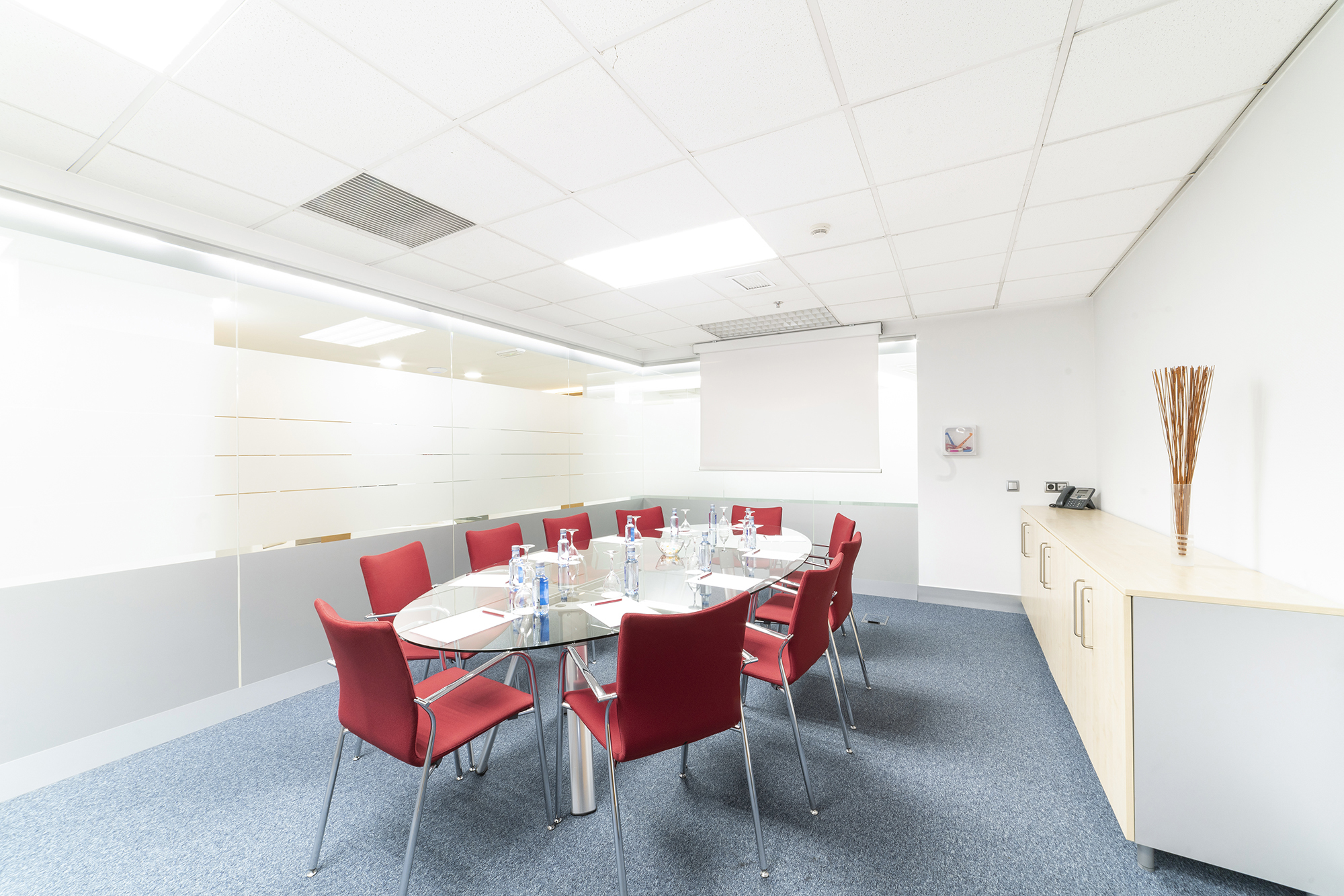 Flex la moraleja - caléndula 93 4