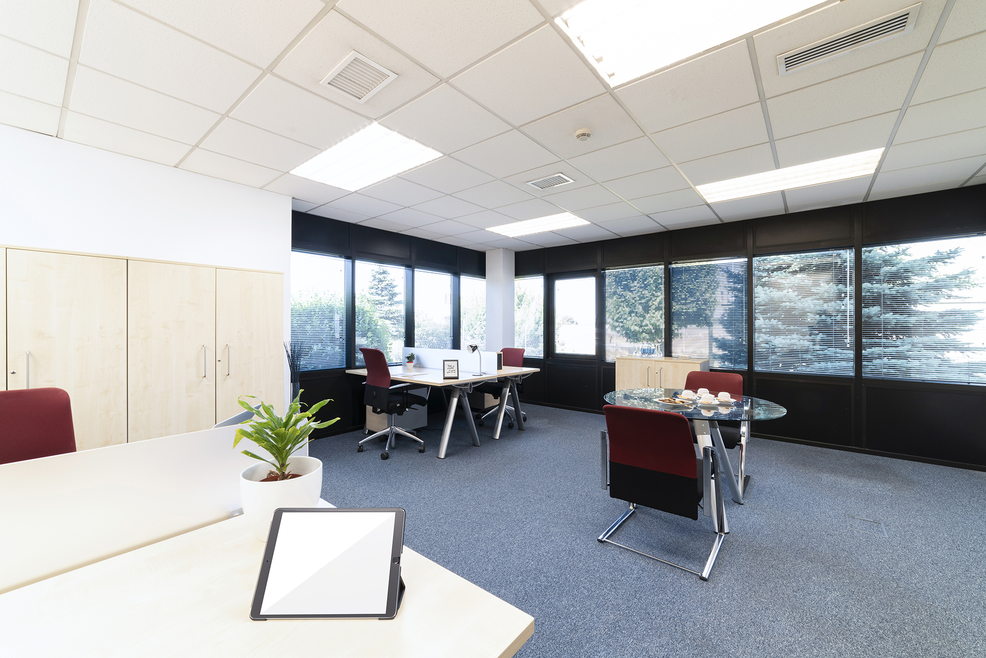 Flex la moraleja - caléndula 93 5