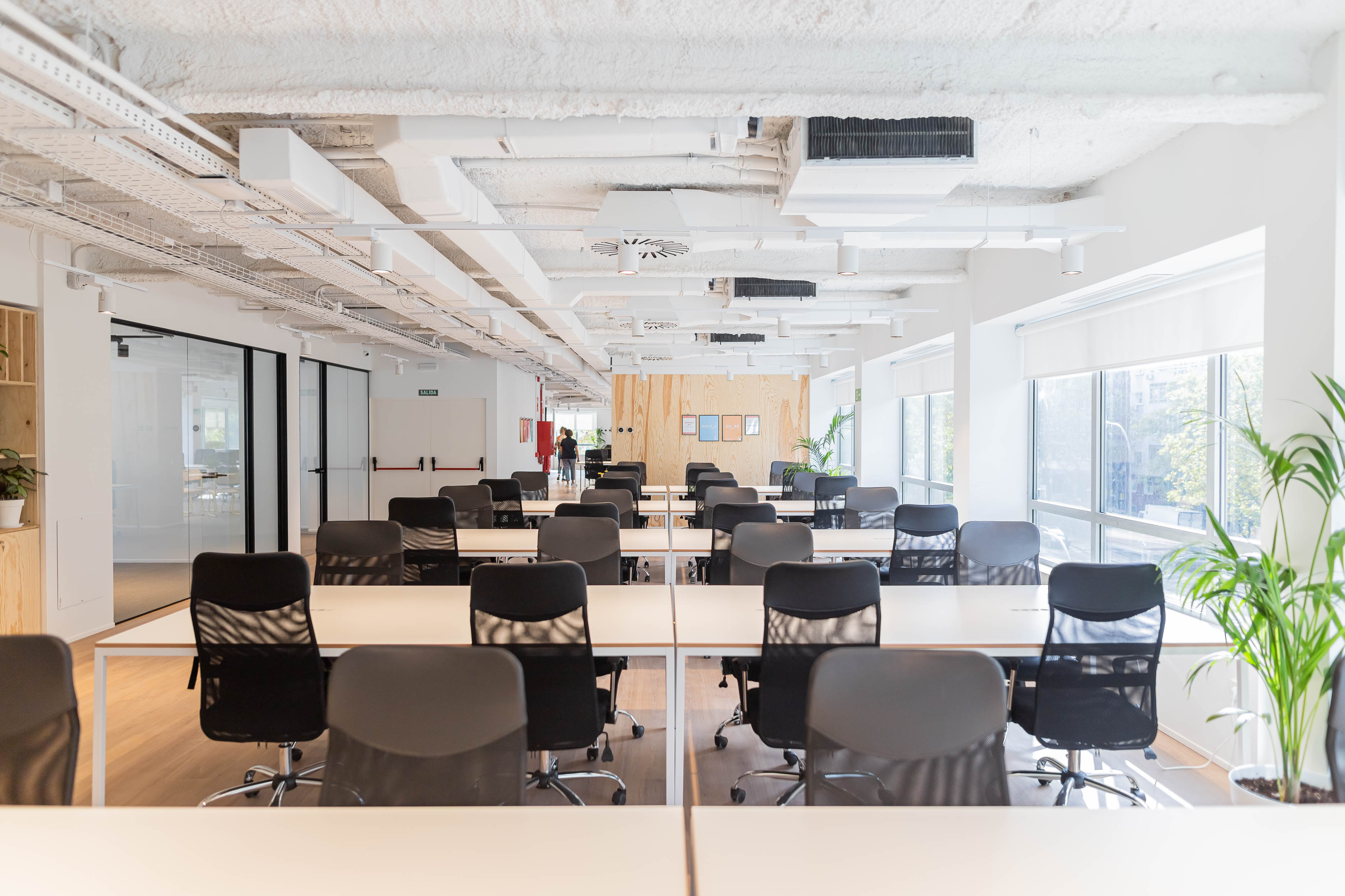 Flex maria de molina 39 3 Flex maria de molina 39 3