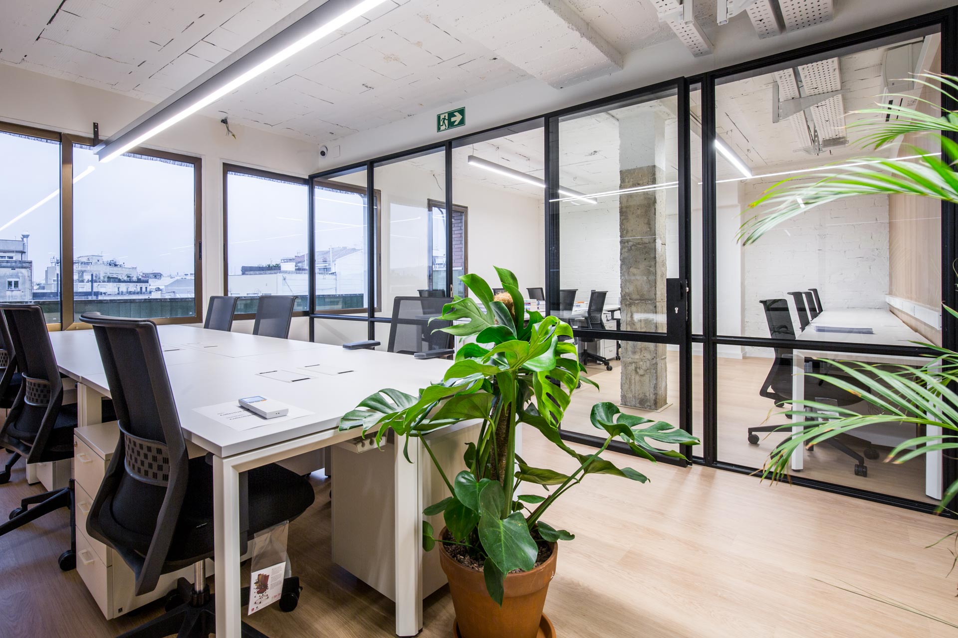 Flex paseo de gracia 53 3