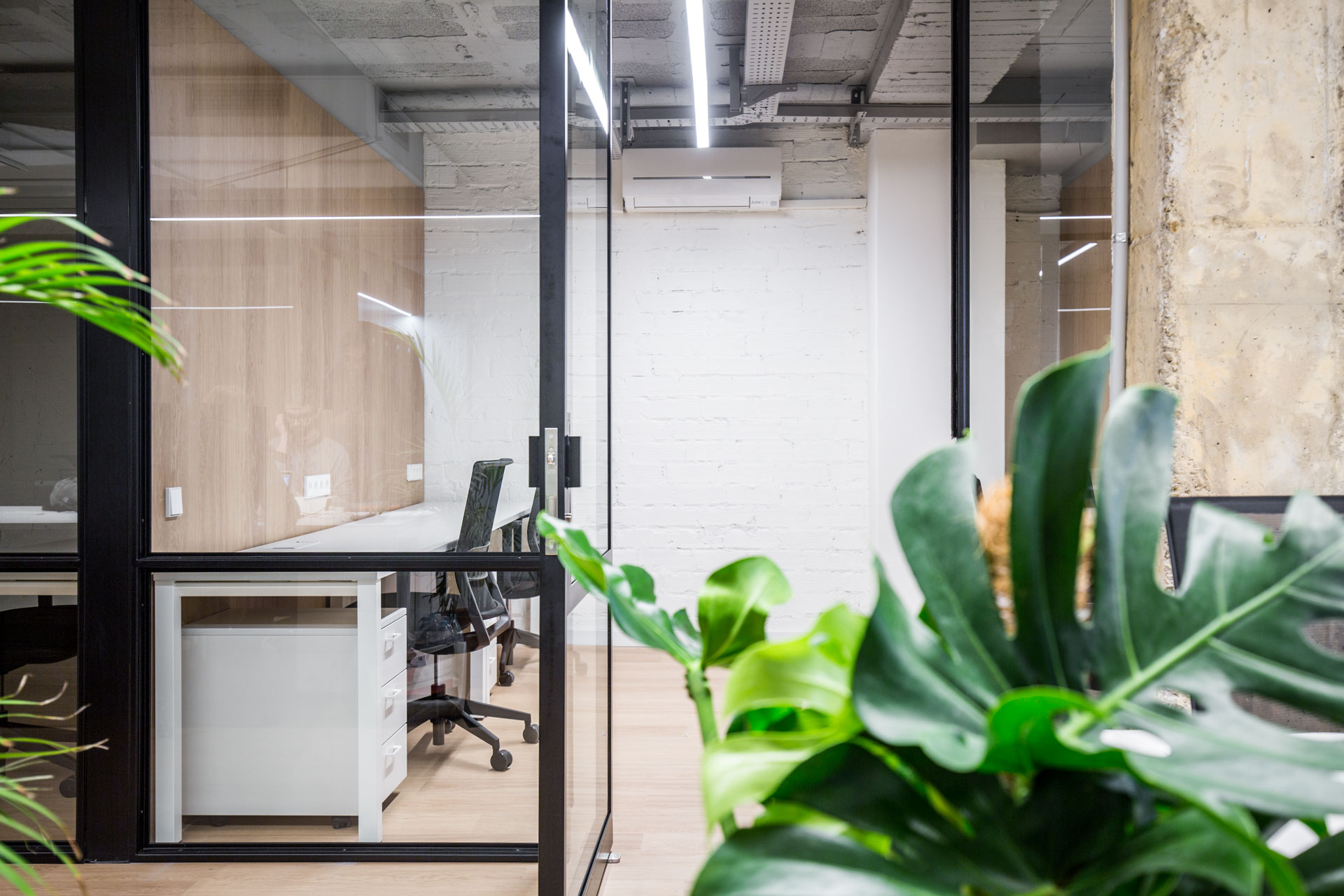 Flex paseo de gracia 53 5