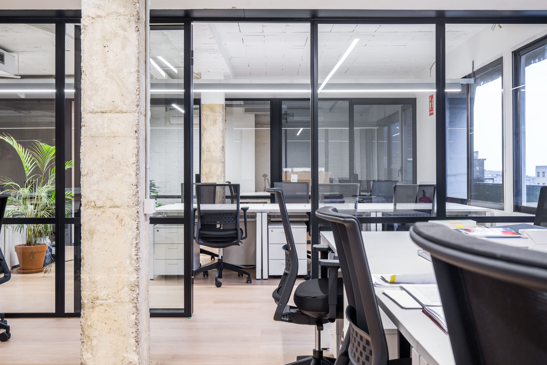 Flex paseo de gracia 53 6