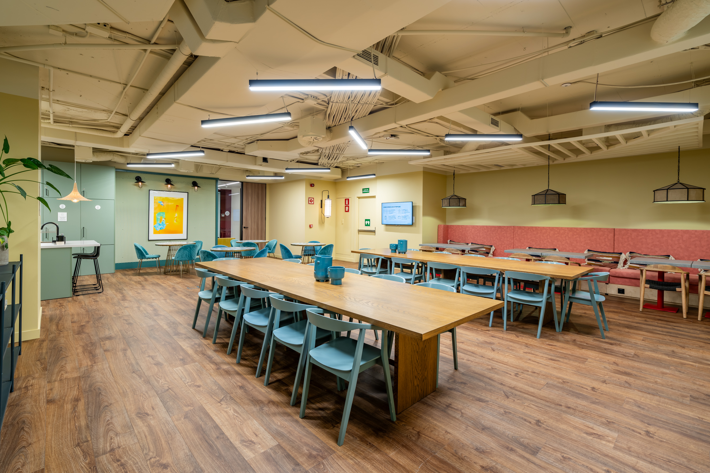 Flex principe de vergara 112 5