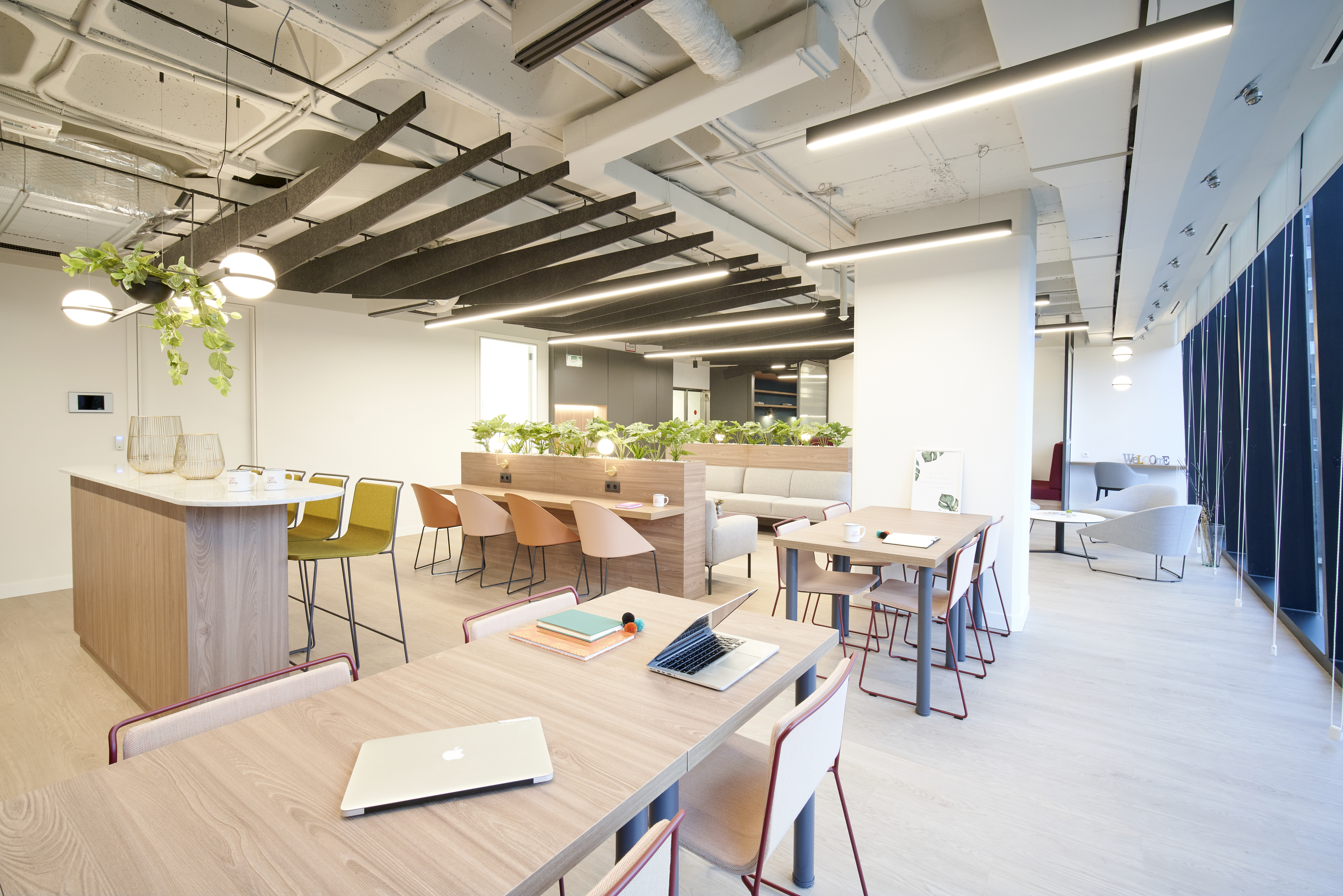 Flex príncipe de vergara 132 3 Flex príncipe de vergara 132 3