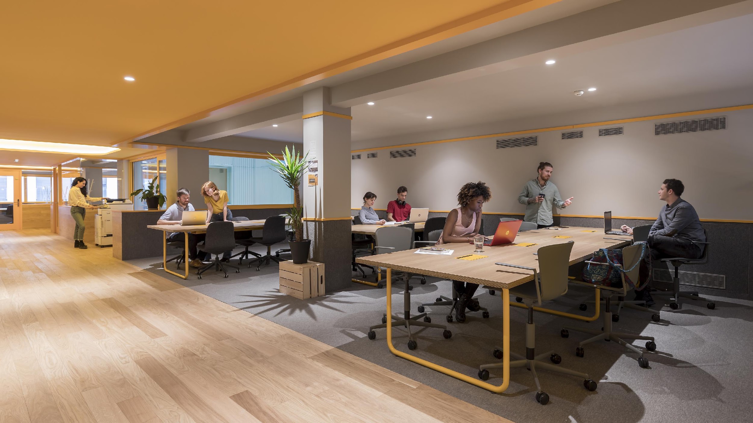 Flex prosperidad - javier ferrero 10 3