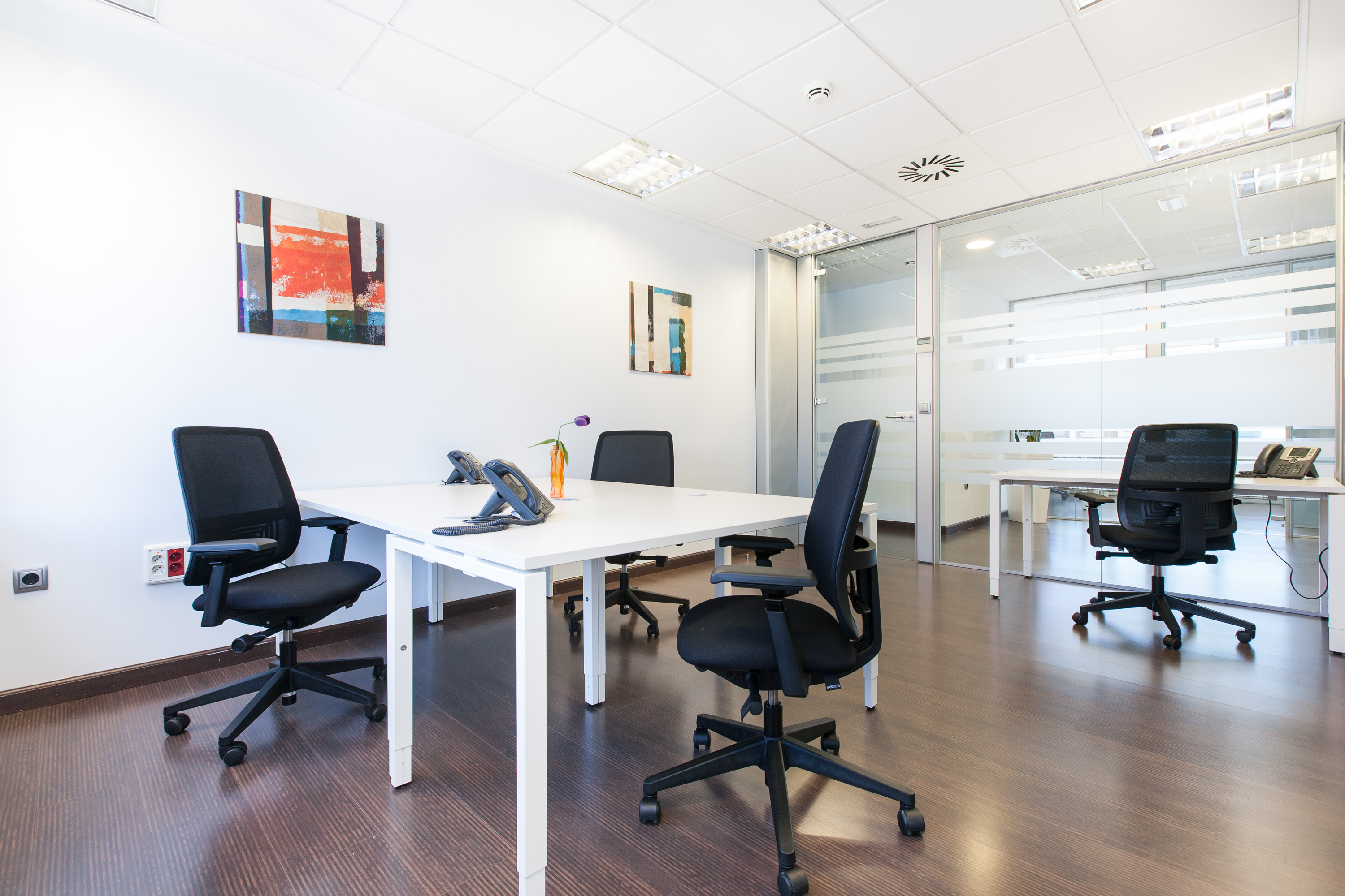 Flex salamanca - maría de molina 39 4