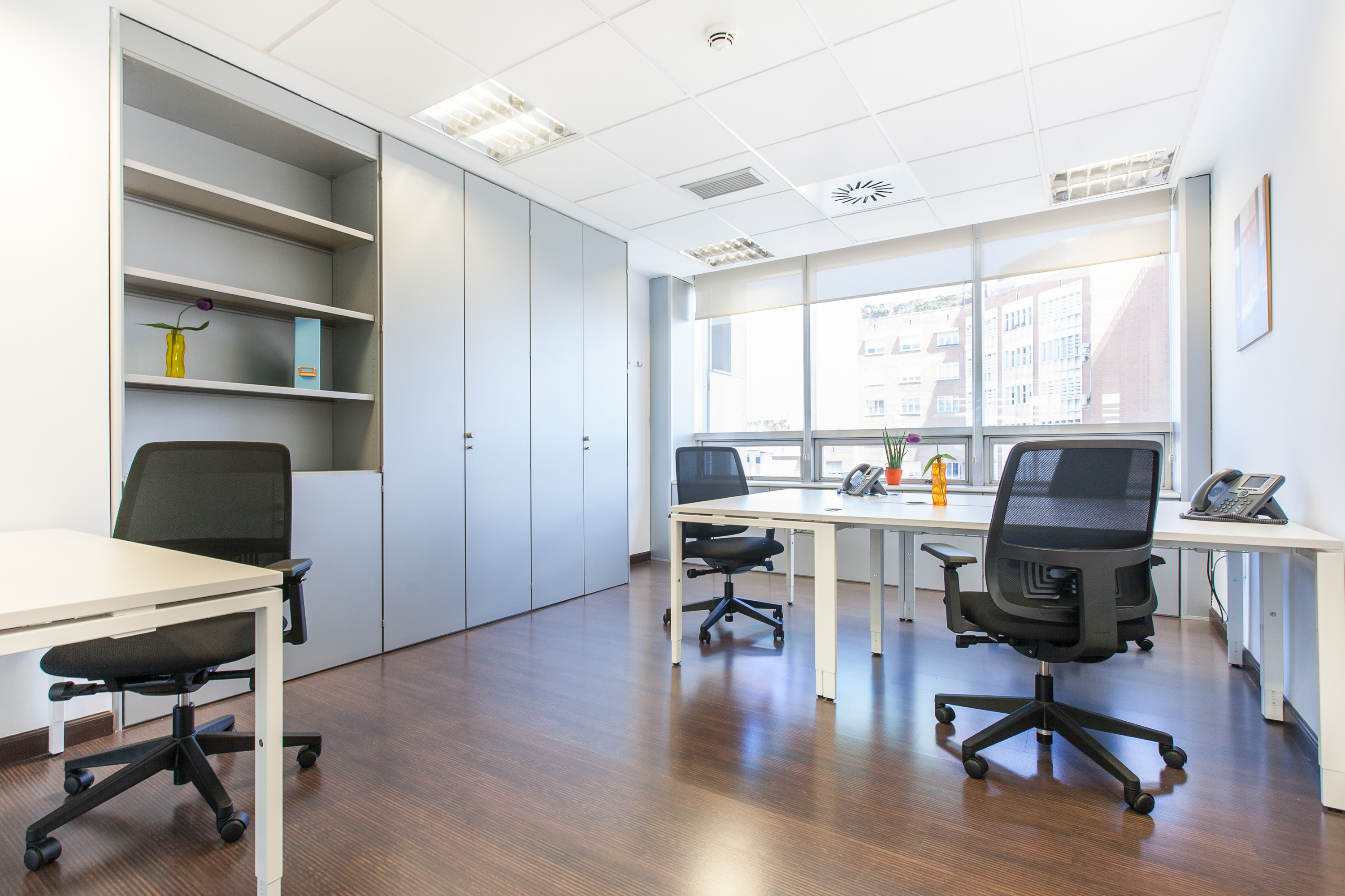 Flex salamanca - maría de molina 39 7