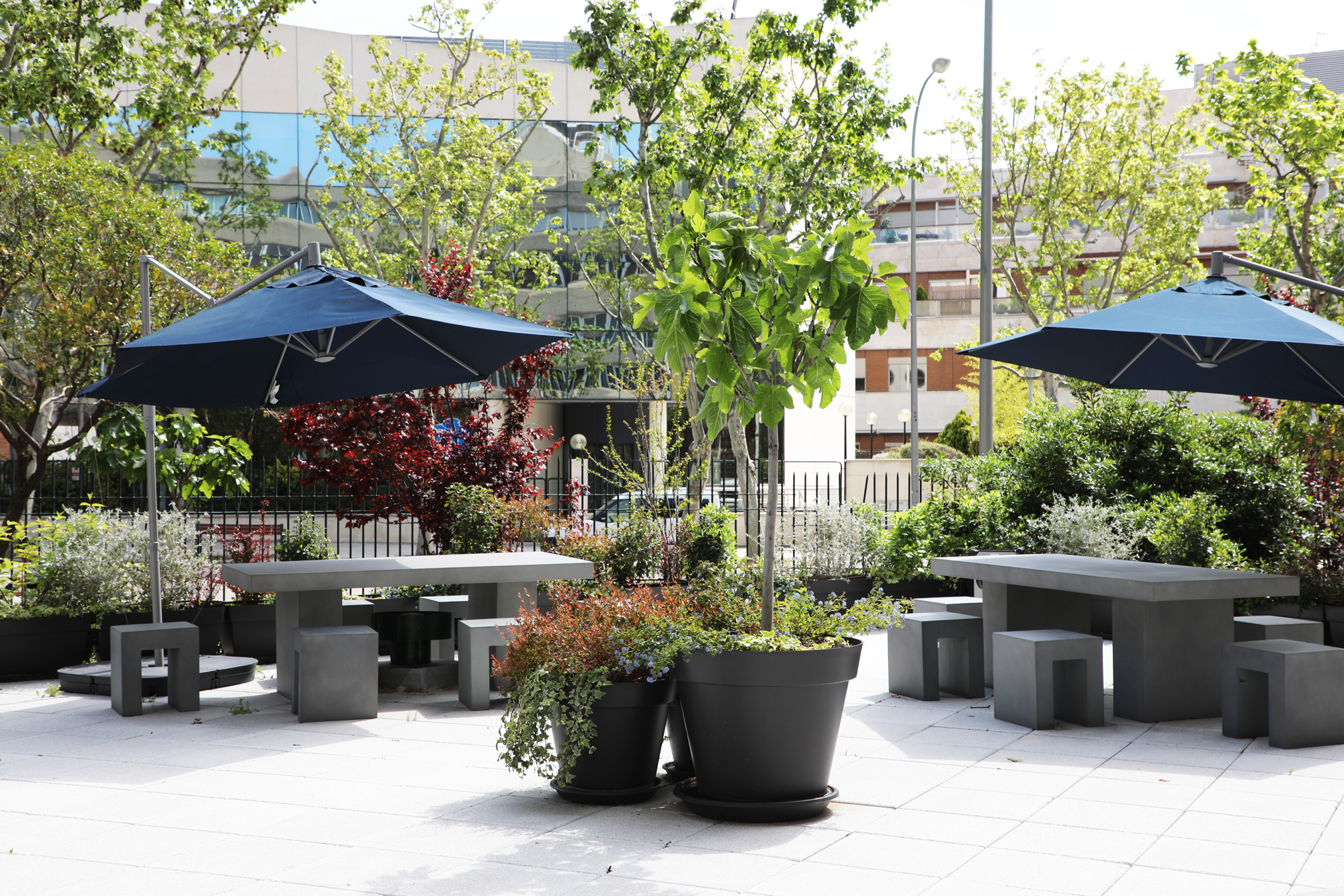 Flex velazquez 157 5 Flex velazquez 157 5