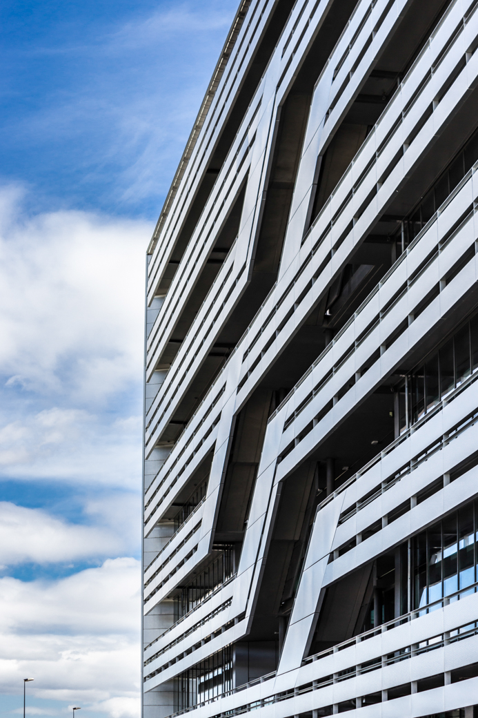 P. e. cristalia - cristalia play 3 P. e. cristalia - cristalia play 3