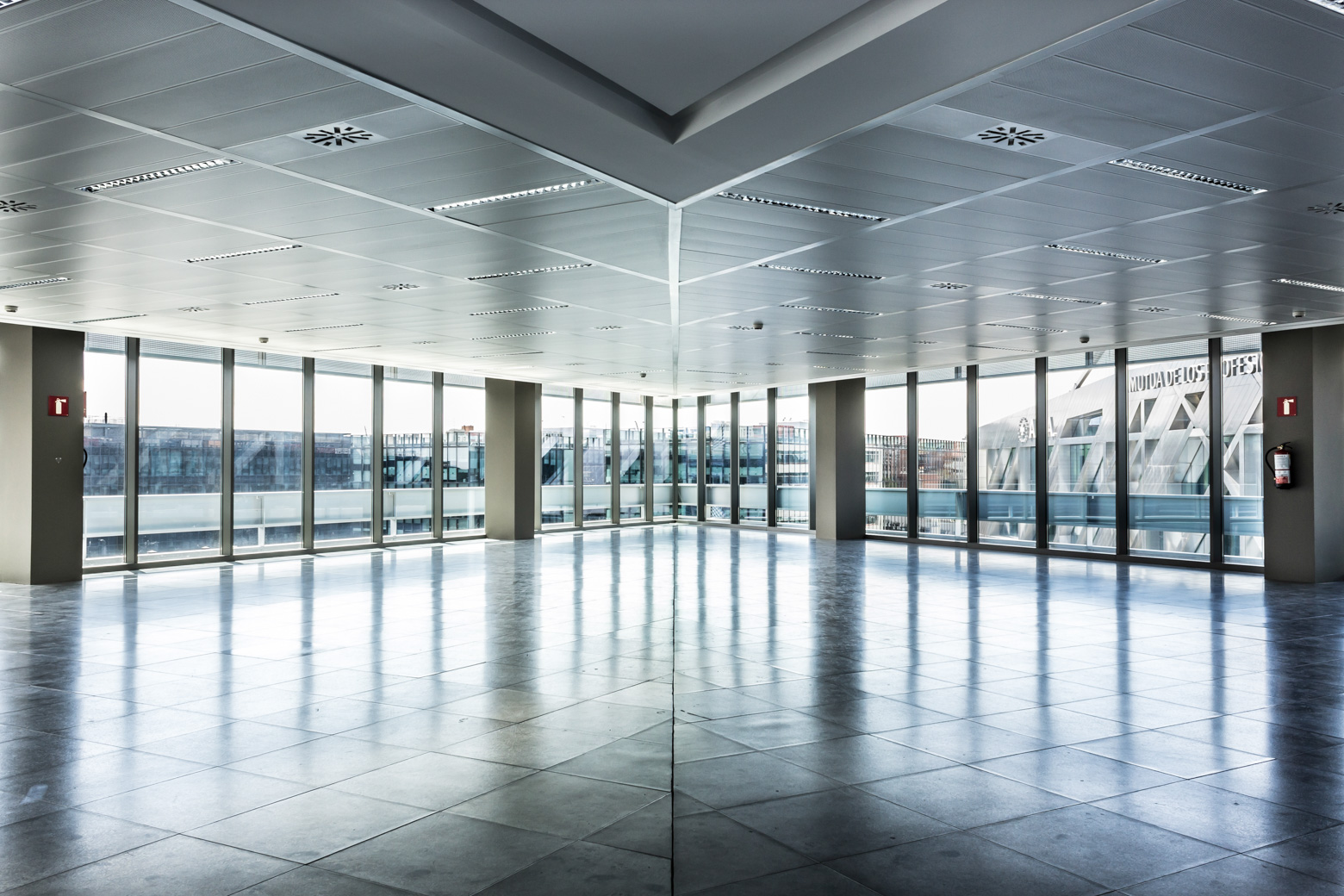 P. e. cristalia - cristalia play 6 P. e. cristalia - cristalia play 6