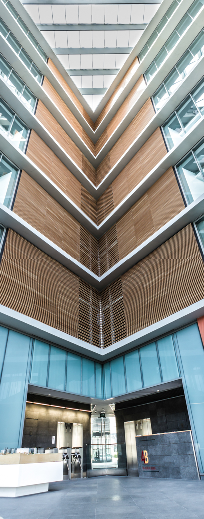 P. e. cristalia - cristalia play 7 P. e. cristalia - cristalia play 7