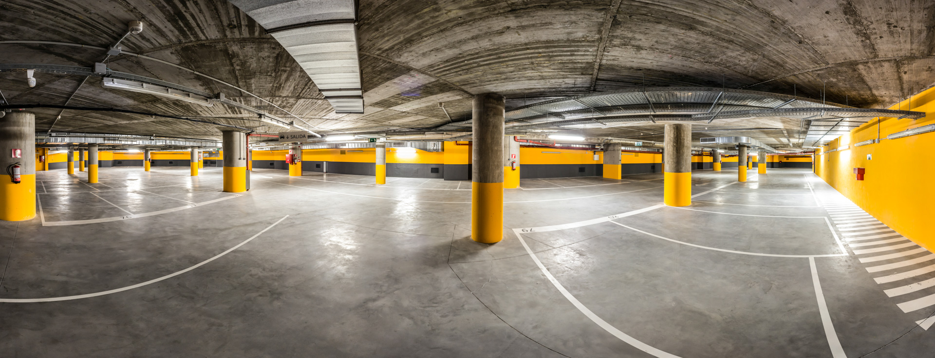 P. e. cristalia - cristalia play 11 P. e. cristalia - cristalia play 11