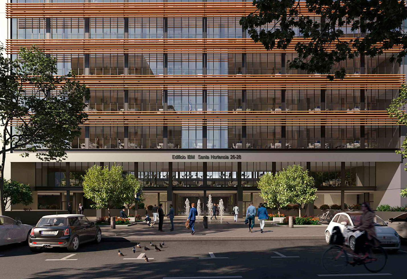 Santa hortensia 26-28 5