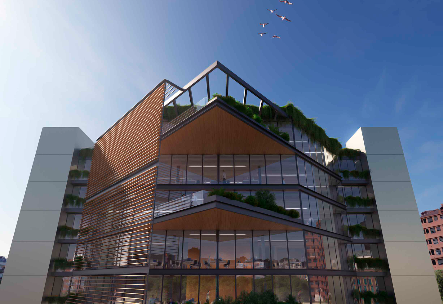 Santa hortensia 26-28 6