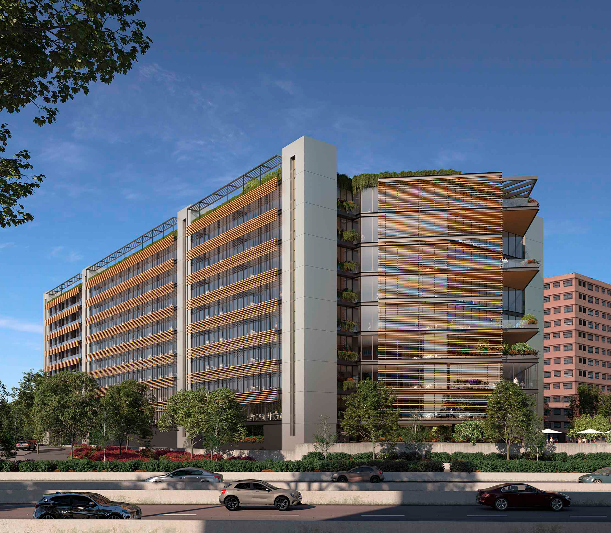 Santa hortensia 26-28 7